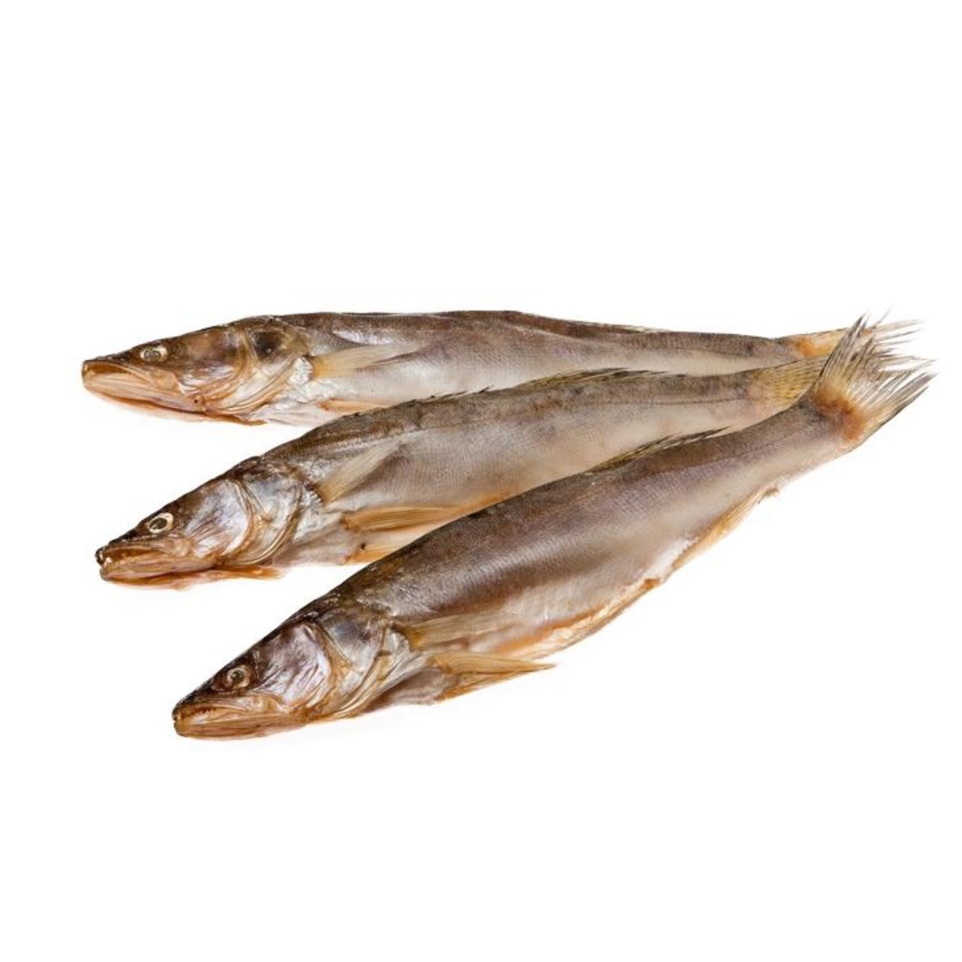 Zander, salted and dried
