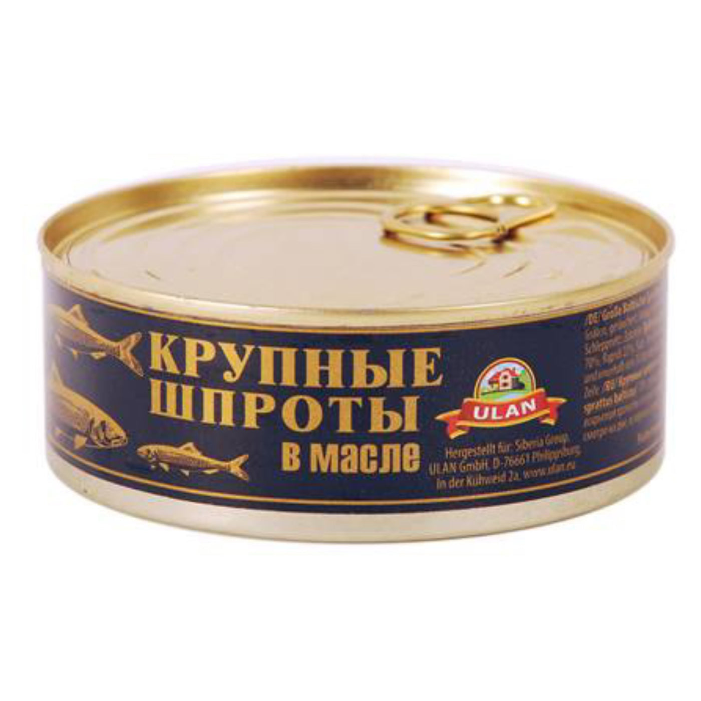 Große geräucherte Sprotten in Öl