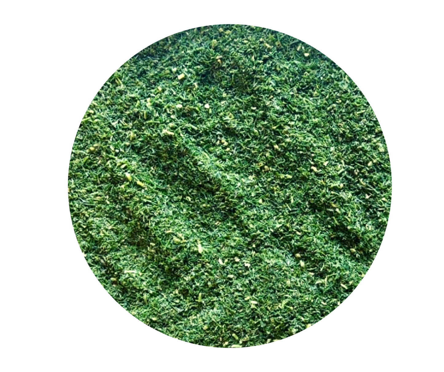 Dill, fein gehackt, tiefgefroren