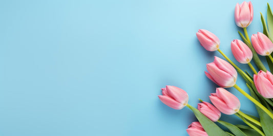 Herzlichen Glückwunsch zum Internationalen Frauentag!