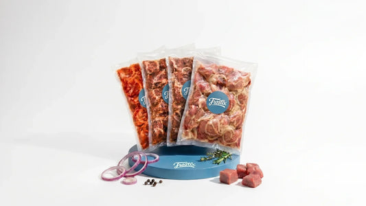 Frischer marinierter Schaschlik auf dem Grill – BBQ Saison Angebot bei Frostix