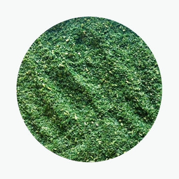 Dill, fein gehackt, tiefgefroren