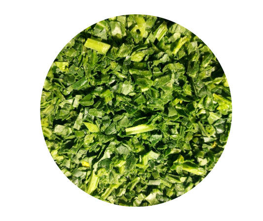 Koriander geschnitten, tiefgefroren