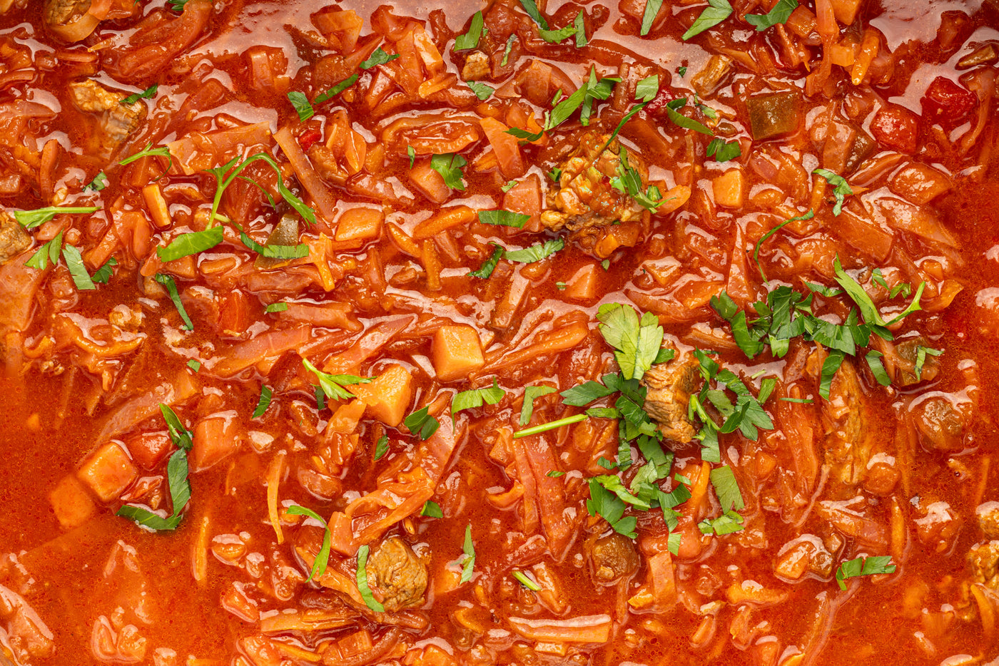 Borsch mit Rindfleisch, handgemacht