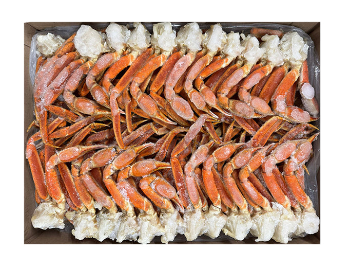 Exklusive Vielfalt aus dem Meer – Meeresfrüchte für besonderen Genuss