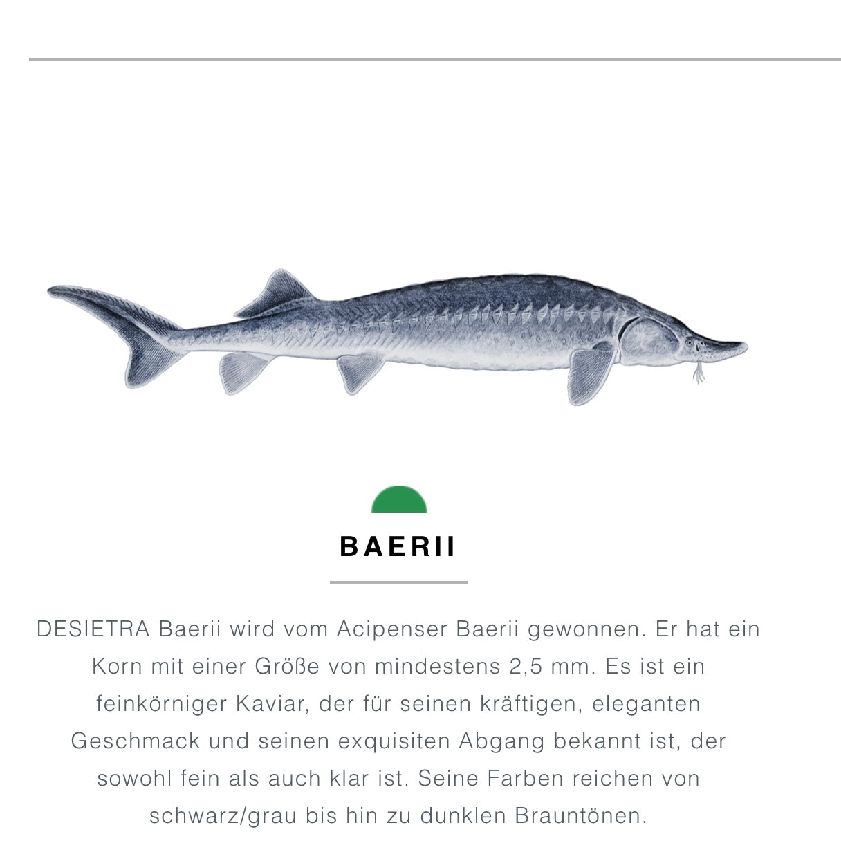 Deutscher schwarzer Baerii-Kaviar