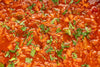 Borsch vegan mit Pilzen