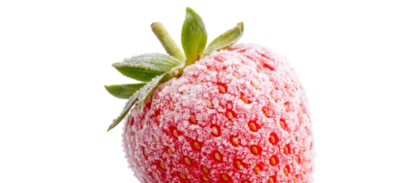 Wir lagern und liefern unter den richtigen Bedingungen